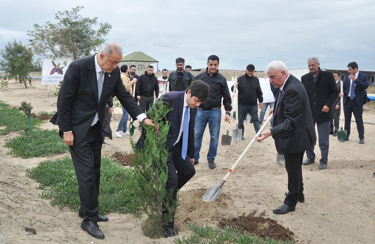 Pirallahıda Anım günü ilə bağlı silsilə tədbirlər keçirildi - FOTOLAR